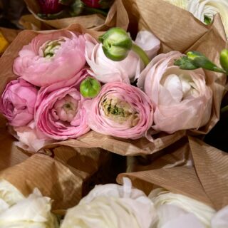 «Так само, як очі потребують світла, серце потребує ніжності...» 🌸
_____________

«Wie die Augen Licht brauchen, so braucht das Herz Zärtlichkeit…» 🤍

#ніжність #кохання #почуття #квітка #квітки #ранункулюсы #zärtlichkeit #blumen #licht #ranunculus #flowers #tender #atmosphere #aesthetic #flowersphotography #feelings #heart #herz #love