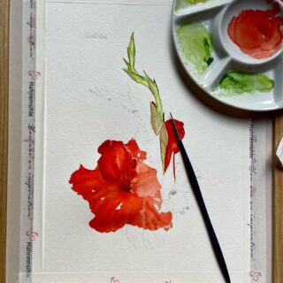 Nature is an eternal source of inspiration ❤️

New flower series 📌

#kozda_watercolor #art #watercolor #paint #painting #watercolourpainting #flowers #watercolorflowers #gladiolus #watercolorart #beauty #nature #scetch #natur #malen #blumen #wasserfarben #inspiration #colors #botanicalart #botanicalillustration #red #redcolor