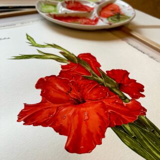 My gladiolus is ready. The first flower in my new watercolor series ❤️

#kozda_watercolor #art #watercolor #paint #painting #watercolourpainting #flowers #flowerpower #watercolorflowers #gladiolus #watercolorart #beauty #nature #scetch #natur #malen #blumen #wasserfarben #inspiration #colors #botanicalart #botanicalillustration #red #redcolor